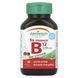 Jamieson Vitamins, 5X Stronger Vitamin B12, Natural Cherry, 5,000 mcg, 45 Sublingual Tablets