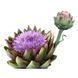 Hawaii Pharm Artichoke Organic Alcohol-Free, 60 ml
