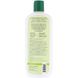 Шампунь з протеїном балансуючий для нормального волосся ванільний бальзам Aubrey Organics (Protein Shampoo) 325 мл фото