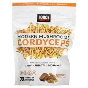 Force Factor, Modern Mushrooms&trade;, Cordyceps, Butterscotch, 30 Superfood Soft Chews купить в Киеве и Украине