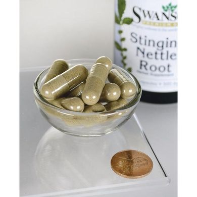 Корінь кропиви, Stinging Nettle Root, Swanson, 500 мг, 100 капсул