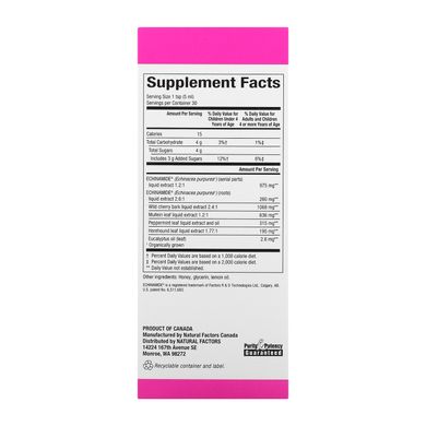 Ехінацея сироп мед + лимон Natural Factors (Echinamide Active Defense) 150 мл
