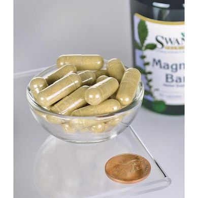 Кора Магнолии Swanson (Magnolia Bark) 400 мг 60 капсул купить в Киеве и Украине