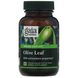 Екстракт оливкового листя Gaia Herbs (Olive Leaves) 680 мг 60 капсул фото