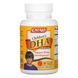 Catalo Naturals, Детская формула с ДГК, апельсиновый вкус, 50 ​​жевательных мягких таблеток фото