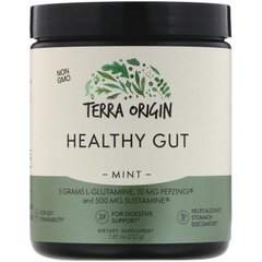 Витамины для кишечника мята Terra Origin (Healthy Gut Mint) 222 г купить в Киеве и Украине