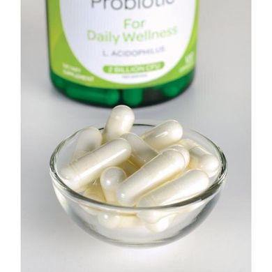 Пробіотики для щоденного здоров'я Swanson (Probiotic for Daily Wellness) 1 мільярд КОЕ 120 капсул