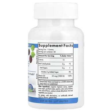 Витамин D3, Лесная ягода, Nordic Naturals, 1000 МЕ, 60 жевательных таблеток купить в Киеве и Украине