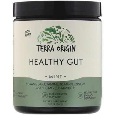 Вітаміни для кишечника м'ята Terra Origin (Healthy Gut Mint) 222 г