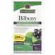 Стандартизированный растительный экстракт черники Nature's Answer (Bilberry) 205 мг 90 капсул фото