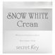 Отбеливающий крем Secret Key (Whitening Cream) 50 г фото