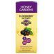 Honey Gardens, Elderberry Honey, for immunity, 5 packets of 0.26 ounces (7.4 g) each.