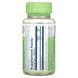 Solaray, True Herbs, Yarrow, 320 mg, 100 VegCaps фото