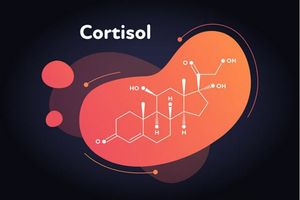 Кортизол — гормон стресу: контроль синтезу і лікування завищених показників