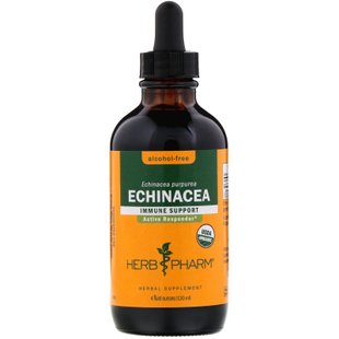 Эхинацея экстракт корня органик Herb Pharm (Echinacea) 120 мл купить в Киеве и Украине