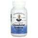 Endocrine system blend, Christophers Original Formulas, 400 mg, 100 plant-based capsules.
