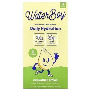 Waterboy, Daily Hydration, Electrolyte Drink Mix, Cucumber Citrus, 12 Stick Packs, 0.12 oz (3.3 g) Each