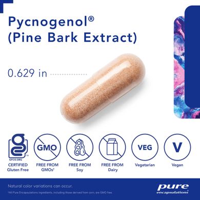 Пикногенол Pure Encapsulations (Pycnogenol) 50 мг 60 капсул купить в Киеве и Украине