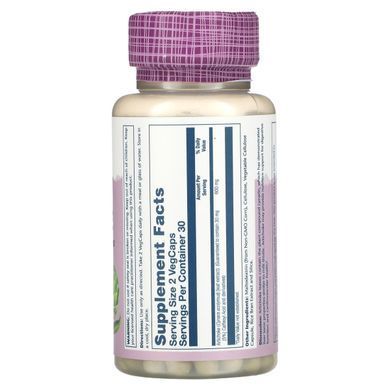 Artichoke Leaf Extract 300 mg 60 vegetarian capsules