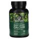 Веганский кальций, Vegan Planet-Based Calcium, PlantFusion, 1000 мг, 90 таблеток фото