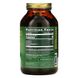 Хлорела манна, HealthForce Superfoods, 1200 рослинних таблеток фото