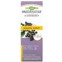 Сироп из органической бузины Nature's Way (Sambucus Elderberry Organic Syrup) 240 мл купить в Киеве и Украине