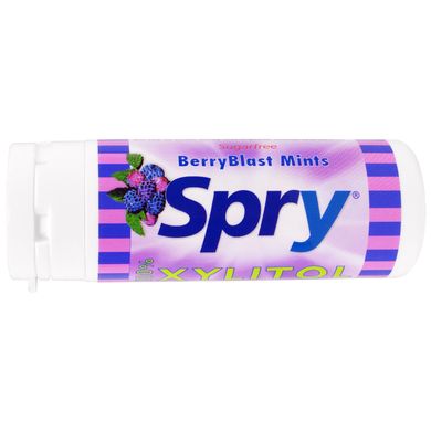 Spry, BerryBlast Mints, Xlear, 45 Count, 27 г