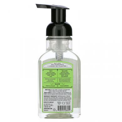 JR Watkins, Foaming Hand Soap, Aloe and Green Tea, 9 fluid ounces (266 ml)
