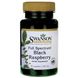 Чорна Малина Swanson (Full Spectrum Black Raspberry) 425 мг 60 капсул фото