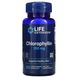 Хлорофиллин, Chlorophyllin, Life Extension, 100 мг, 100 капсул на растительной основе фото