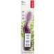 Зубная щетка для правшей мягкая фиолетовая RADIUS (Toothbrush) 1 шт. фото