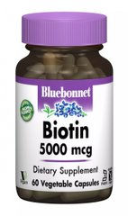 Биотин (B7) Bluebonnet Nutrition (Biotin) 5000 мкг 60 гелевых капсул купить в Киеве и Украине