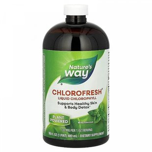 Жидкий хлорофилл с ароматом мяты Nature's Way (Chlorofresh Liquid Chlorophyll Mint) 473,2 мл купить в Киеве и Украине