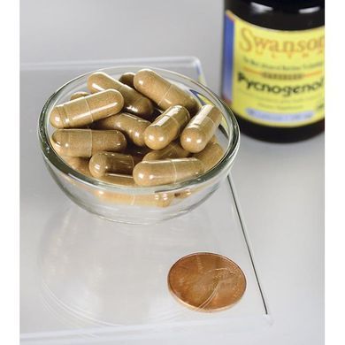 Пикногенол, Pycnogenol, Swanson, 100 мг, 30 капсул купить в Киеве и Украине