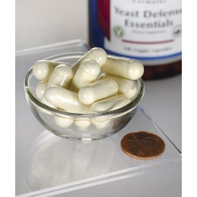 Basics of Yeast Protection, Yeast Defense Essentials, Swanson, 120 capsules.