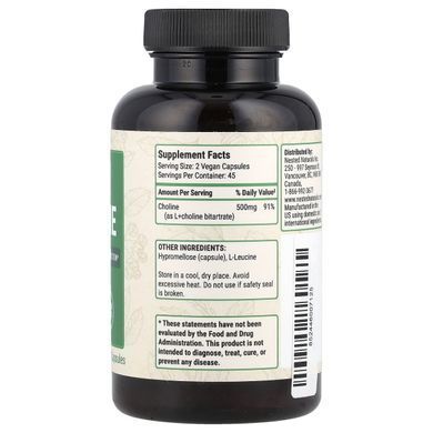 Nested Naturals, холін, 500 мг, 90 веганських капсул (250 мг в 1 капсулі)