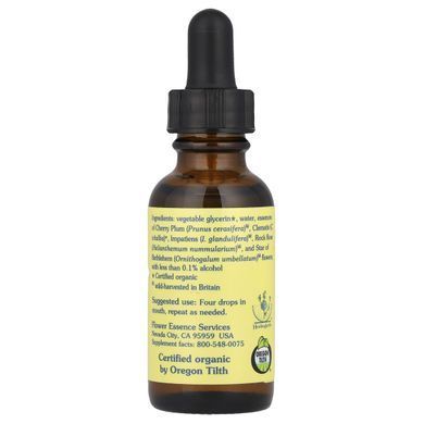 Формула п'ять кольорів, квіткова есенція, що не містить спирту, Flower Essence Services, 1 рідка унція (30 мл)