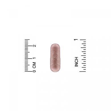 Женские пробиотики с клюквой HealthyBiom (Women's Cranberry Probiotics) 10 млрд КОЕ 90 вегетарианских капсул купить в Киеве и Украине