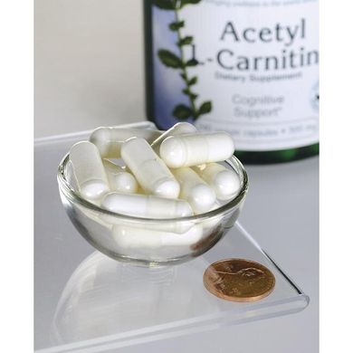 Ацетил L-Карнітин, Acetyl L-Carnitine, Swanson, 500 мг, 240 капсул