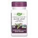 Экстракт листьев оливы Nature's Way (Olive Leaf) 250 мг 60 капсул фото