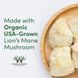 Ежовик гребенчатый для когнитивного здоровья Double Wood (Lion's Mane Mushroom) 120 капс фото