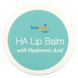 Episilk, бальзам для губ HA Lip Balm с гиалуроновой кислотой, Hyalogic LLC, 14 г (0,5 жидких унций) фото