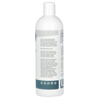 Restorative Shampoo, Wild Mint, Organic Excellence, 16 жидких унций (473 мл)