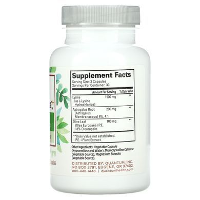 Вегетарианский комплекс для иммунитета Quantum Health (Super Immune+ Powerful Vegetarian Formula) 90 капсул купить в Киеве и Украине
