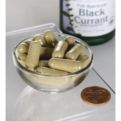 Чорна смородина, Full Spectrum Black Currant, Swanson, 400 мг, 60 капсул