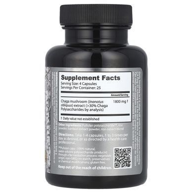 Wild Siberian Chaga, Dragon Herbs, 500 mg, 100 capsules