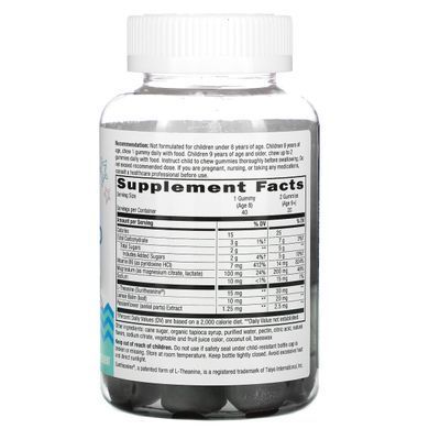 Формула для спокою дітей старше 8 років виноград Nature's Way (Calm & Collected) 40 жувальних цукерок