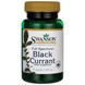 Чорна смородина, Full Spectrum Black Currant, Swanson, 400 мг, 60 капсул фото