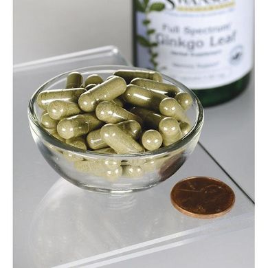 Гинкго Билоба, Full-Spectrum Ginkgo Leaf, Swanson, 60 мг, 120 капсул купить в Киеве и Украине