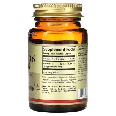 Вітамін B6 Solgar (Vitamin B6) 100 мг 250 капсул